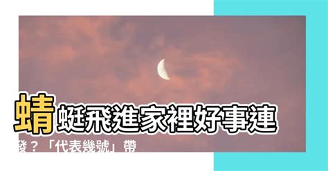 蜻蜓飛進家裡代表幾號